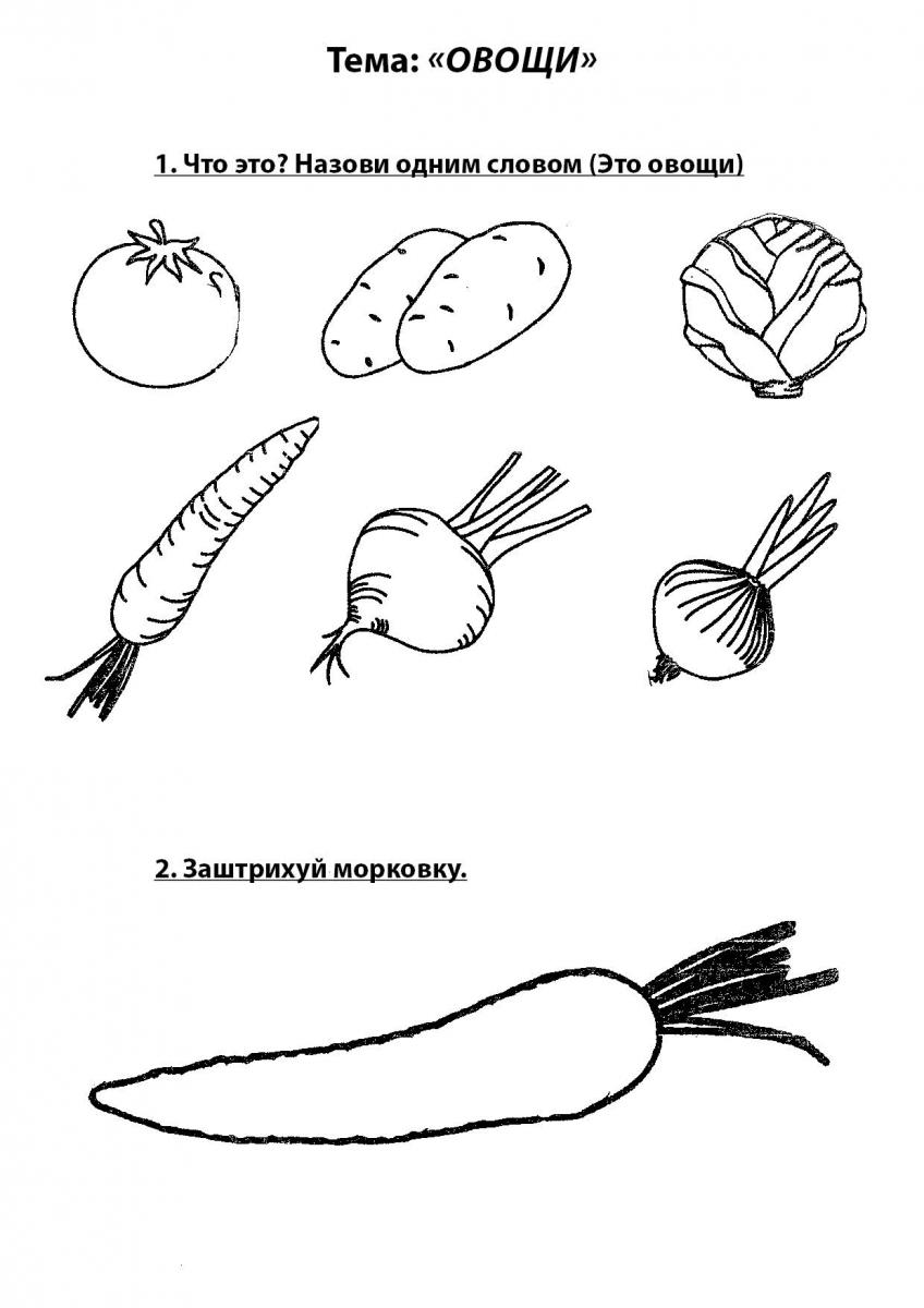 Овощи | МБДОУ «Детский сад №6»
